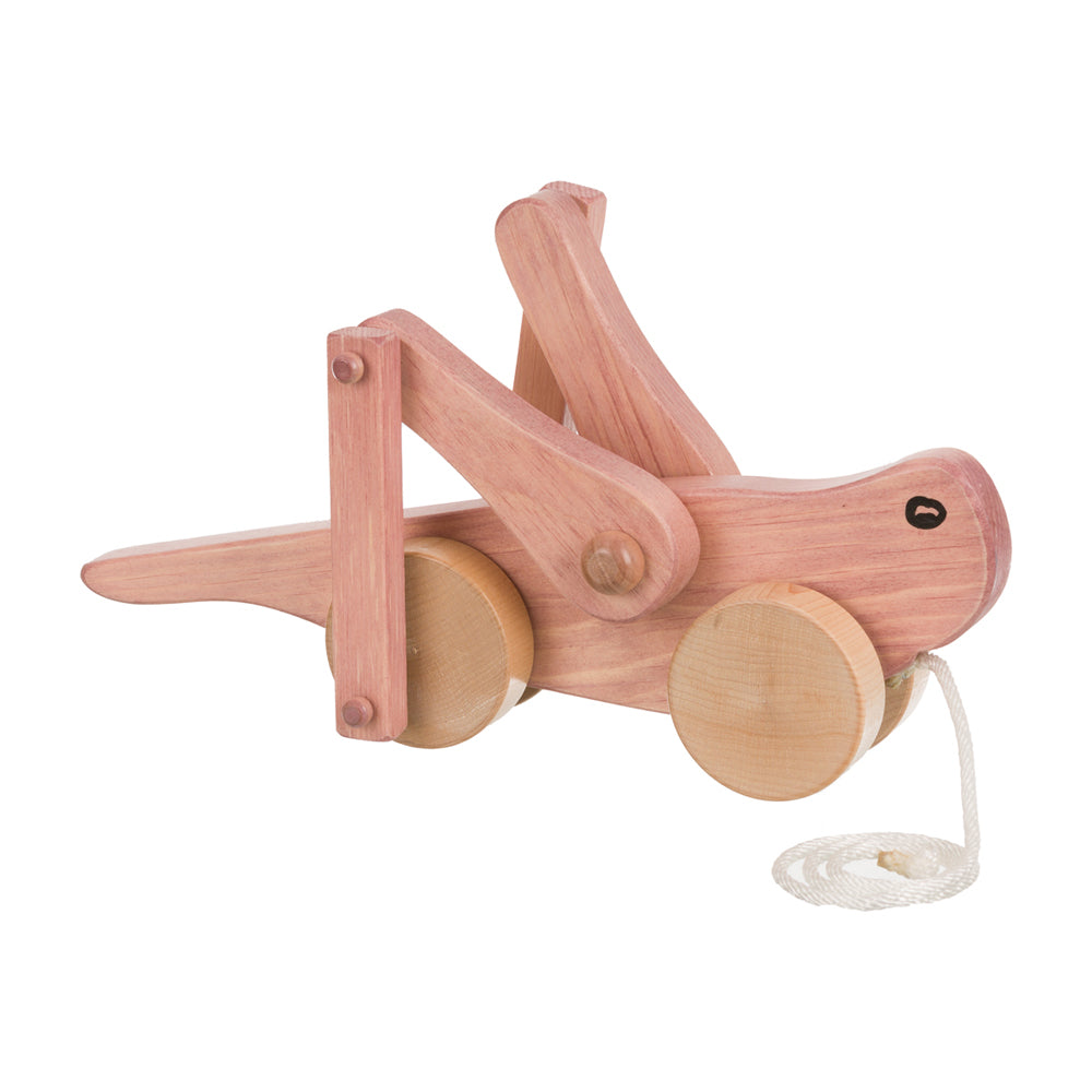 PULL TOY-GRASSHOPPER